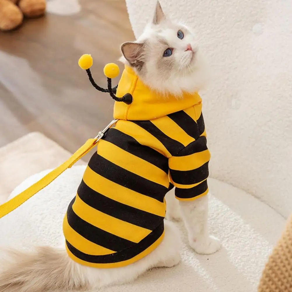 الحيوانات الأليفة القطط الملاب - مراجعة Winter Clothing Accessories وسعره